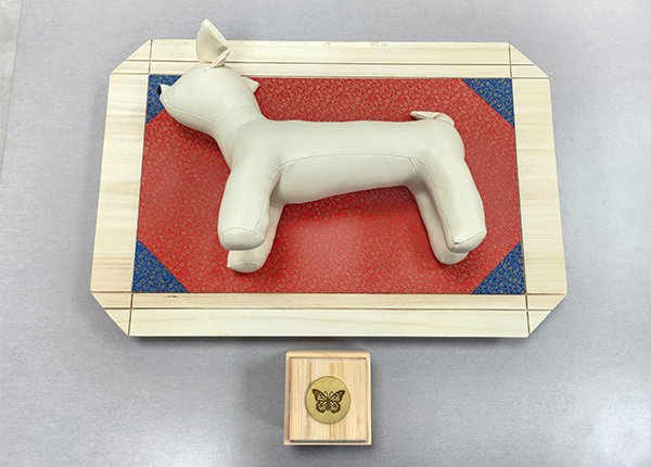 베이직 장례 I 사진