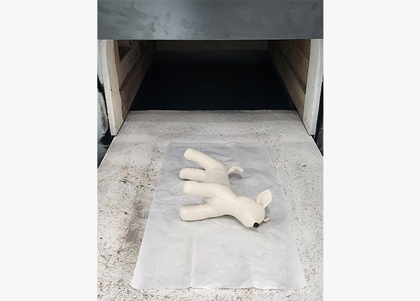 기본 장례 서비스 사진