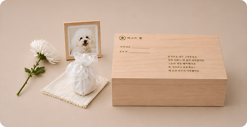 베이직 장례 사진