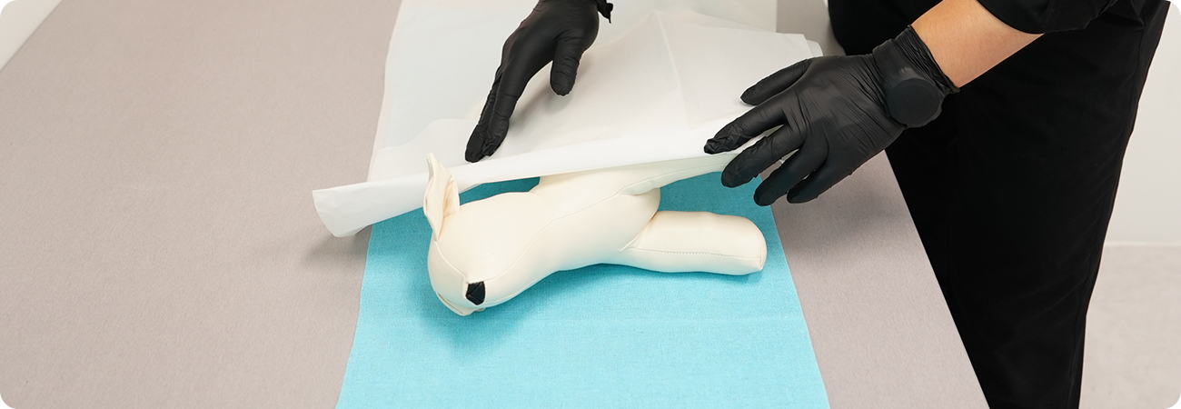 퍼스트펫 장례 사진