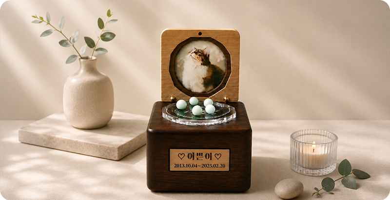 광주강아지장례, 광주고양이장례, 광주반려동물장례 전문 서비스를 제공하는 퍼스트펫 아마레스톤 사진