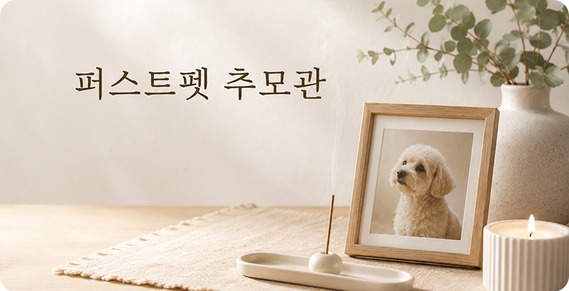 광주강아지장례, 광주고양이장례, 광주반려동물장례 전문 서비스를 제공하는 퍼스트펫 추모관 소개 배너 이미지