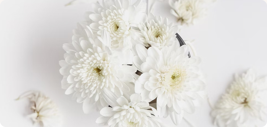 생화 정기 구독 서비스 운영