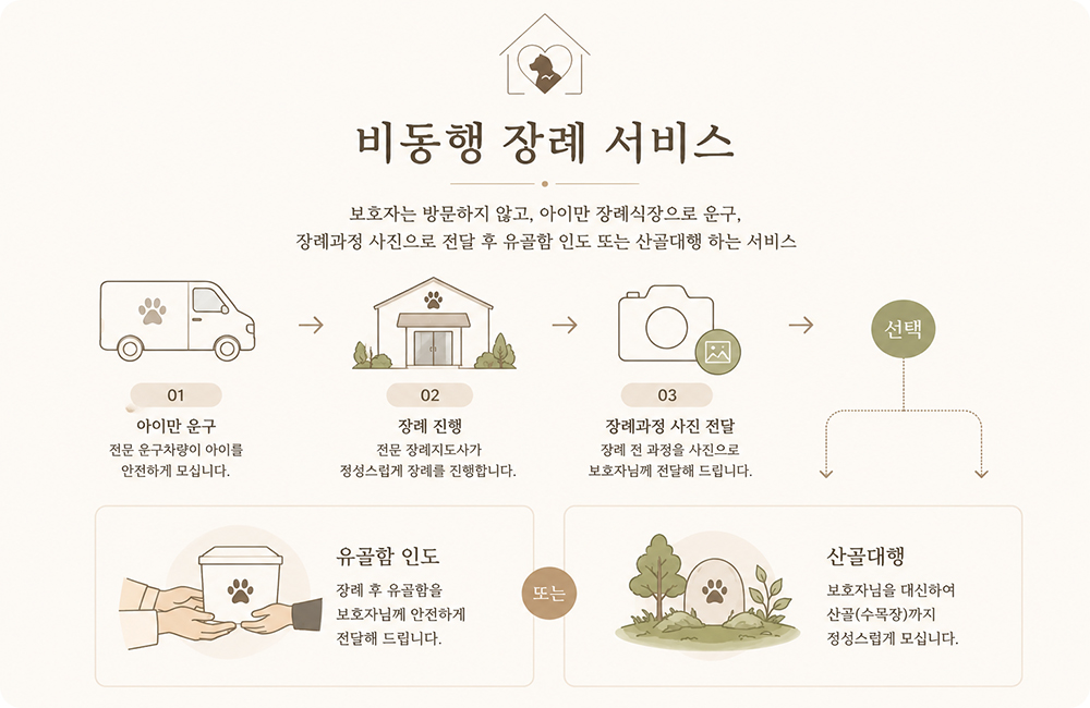 광주강아지장례, 광주고양이장례, 광주반려동물장례 전문 서비스를 제공하는 퍼스트펫의 비동행 장례 서비스 소개 이미지. 보호자는 방문하지 않고, 아이만 장례식장으로 운구, 장례과정 사진으로 전달 후 유골함 인도 또는 산골대행 하는 서비스. 아이만 운구 전문 운구차량이 아이를 안전하게 모십니다. 장례 진행 전문 장례지도사가 정성스럽게 장례를 진행합니다. 장례과정 사진 전달 장례 전 과정을 사진으로 보호자님께 전달해 드립니다. 그 후 유골함 인도 또는 산골대행 중 선택 가능합니다.