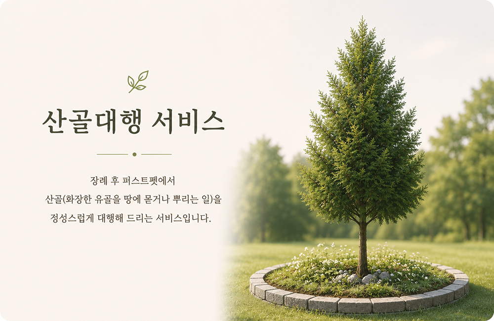 광주강아지장례, 광주고양이장례, 광주반려동물장례 전문 서비스를 제공하는 퍼스트펫의 산골대행 서비스 소개 이미지. 장례 후 퍼스트펫에서 산골(화장한 유골을 땅에 묻거나 뿌리는 일)을 정성스럽게 대행해 드리는 서비스입니다.