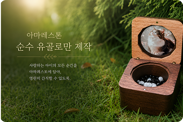광주강아지장례, 광주고양이장례, 광주반려동물장례 전문 서비스를 제공하는 퍼스트펫 전문 장례지도사의 사진