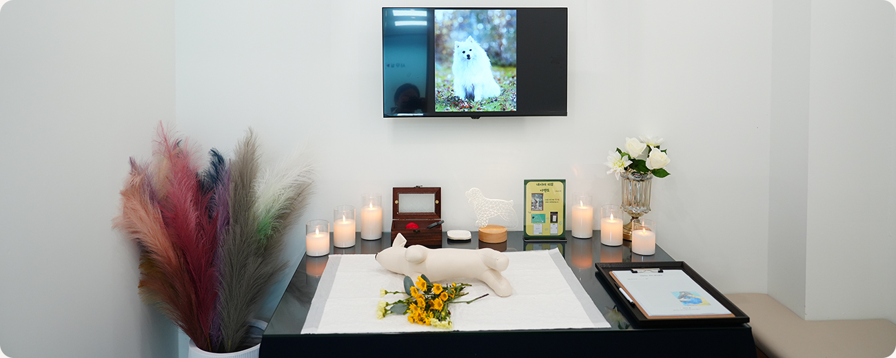 프라이빗 공간 사진